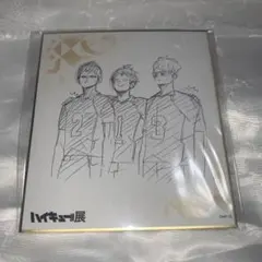 ハイキュー!! 影山飛雄　山口忠　月島蛍　ハイキュー展　色紙