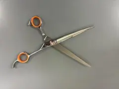 Item thumbnail for item 91a2a26b-978d-4ef3-a22b-83699744b75d