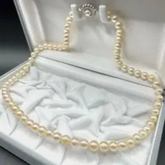 Item thumbnail for item cadb724b-cc4a-4146-8e0e-57fe479b7c49