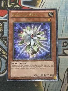 グローアップ・バルブ 米1stレリーフ 遊戯王 グローアップバルブ1st（米版）レリーフ - メルカリ