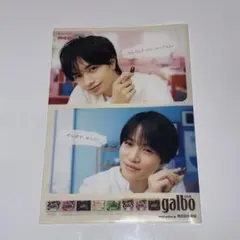 中島健人 菊池風磨明治 ガルボ クリアファイル A4サイズ