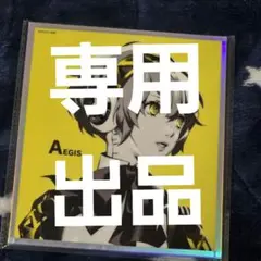 専用出品