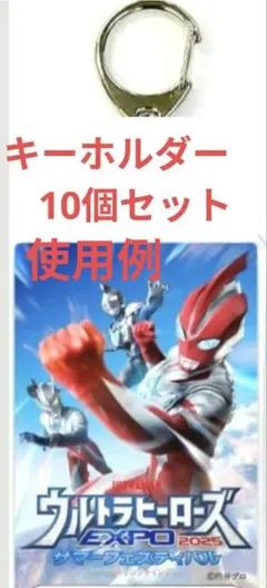 キーホルダー　10個セット