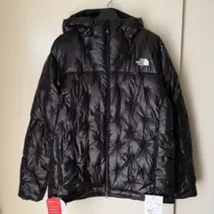 【THE NORTH FACE】ノースフェイス ポラリス ダウンジャケット L