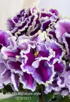 Green-Lab.7様 リクエスト 3点 まとめ商品