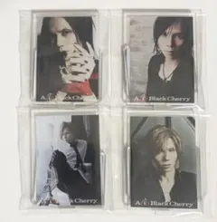 AcidBlackCherry 台座付きビジュアルプレート 4種