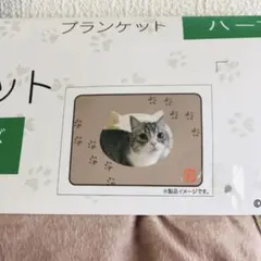 Item thumbnail for item d9a2b79a-7bd8-4f4d-9adb-5f7cd60e3ac5