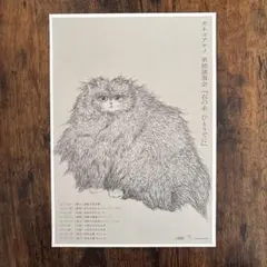 2026年最新】国内アーティスト：カネコアヤノ ポスターの人気アイテム