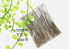 Item thumbnail for item dd5b82b8-ca38-4e82-994a-b24db0f812b8