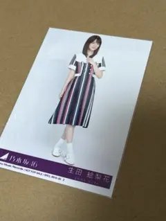 乃木坂46 生田絵梨花 生写真