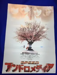 SPEED  アンドロメディア Amazon.co.jp: アンドロメディア [VHS] : SPEED, DA PUMP, 原田