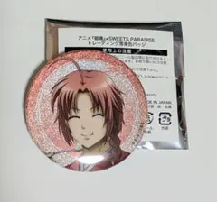 銀魂 スイーツパラダイスコラボ トレーディング等身缶バッチ 神威