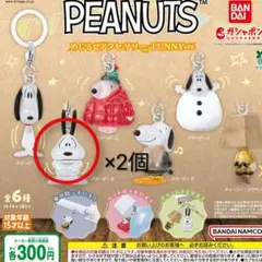 PEANUTS めじるしアクセサリー FUNNYver.　Ｂ×２個