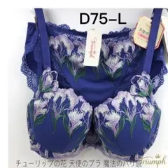 トリンプ チューリップの花 レッドレーベル 天使のブラ 魔法のハリ感D75-L