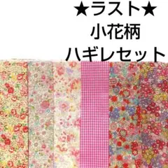 Item thumbnail for item 15d28b7c-5196-4318-abfa-18bd3163ad3f