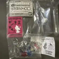 サンリオ　なかよしドロップチャーム　キティ&ミミィ　プロフィール帳セット