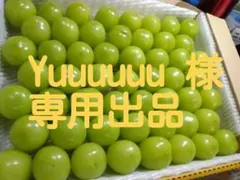 Yuuuuuuu様専用出品 シャインマスカット