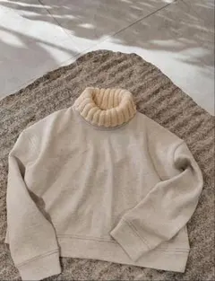 Item thumbnail for item 9fbda4af-faaa-4ca8-a0dd-5b05f2b0e1b5