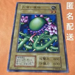 2026年最新】遊戯王 booster1の人気アイテム - メルカリ