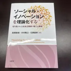 ソーシャル・イノベーションを理論化する