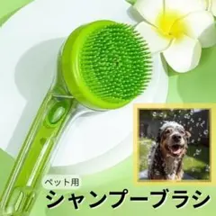 Item thumbnail for item 4247681a-0ae6-4305-b1a9-2efd8057fc73