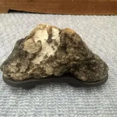 赤抹香石 平石 水石 鑑賞石 - メルカリ