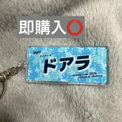 中日ドラゴンズ沖縄キャンプシークレットアクリルキーホルダー2026ドアラ