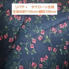 LIBERTY　リバティー　タナローン生地　20　ストロベリー・フィールズ