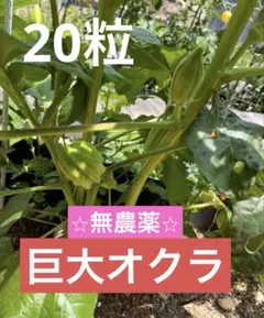 ★ほし★様 リクエスト 2点 まとめ商品