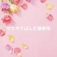 サクサクぱんだ様専用