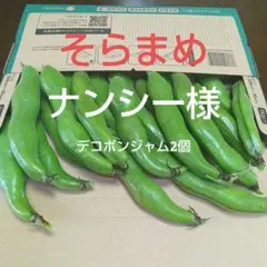 ナンシー様専用です