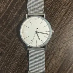 値下げ！SKAGEN シルバー メッシュバンド SKW6242 - メルカリ