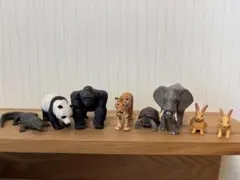 アニア　動物フィギュア 8体セット