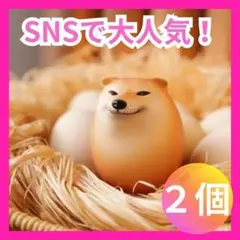 柴犬スクイーズ しばこ　しばいぬ　 卵型 ハード　フィギア シバイヌ 2個セット
