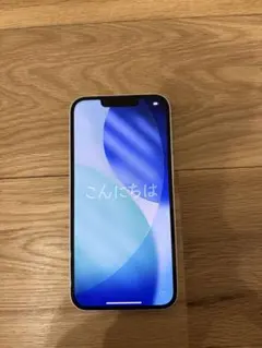 iPhone13 256GB