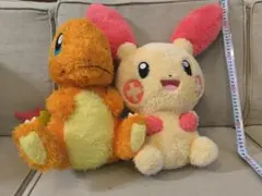 ポケットモンスター ポケモン プラスル ヒトカゲ ぬいぐるみ