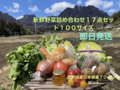 新鮮野菜詰め合わせ１７点セット１００サイズのサムネイル
