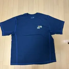 stussy. mountainhardwearコラボTシャツ