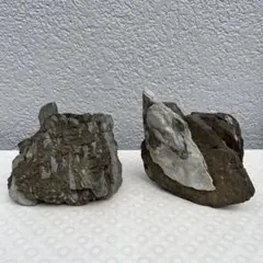 鑑賞石のサムネイル