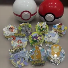 ポケパークカントー　ピンズ　ピンバッジ　ポケモン　ポケットモンスター　セット