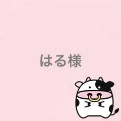はる✩嵐・SMAP多数出品中様 リクエスト 4点 まとめ商品