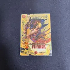 メガマナロックドラゴン　winnerのサムネイル