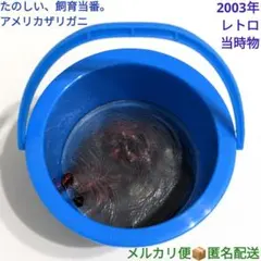 2026年最新】たのしい飼育当番の人気アイテム - メルカリ