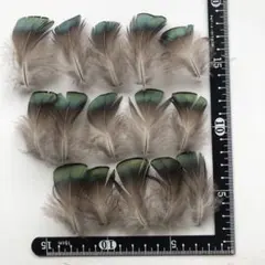 Item thumbnail for item fcfb3a4b-b631-4b79-b36f-ff7dafb0692b