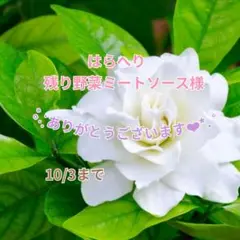 はらへり　残り野菜ミートソース様 おまとめパーツ(˘͈ᵕ ˘͈ *)♡