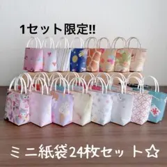 ハンドメイド☆まミニ紙袋24枚セット☆アソート柄　1セット限定‼︎