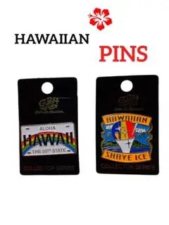HAWAIIAN PINS 2個セット 新品 ライセンスプレート シェィブアイス