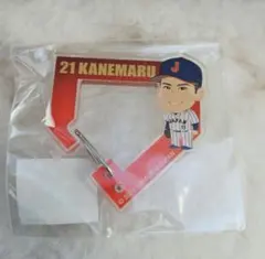 侍ジャパン 金丸