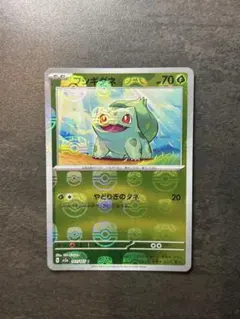 ポケモンカード マスターボールミラーゼニガメ ヒトカゲ フシギダネ 3