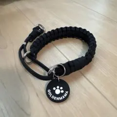 Item thumbnail for item 8c80c69a-3cc4-4c9c-85ff-ebdb5563df16